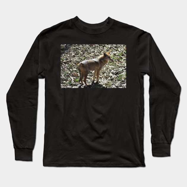 Coyote Long Sleeve T-Shirt by MarieDarcy